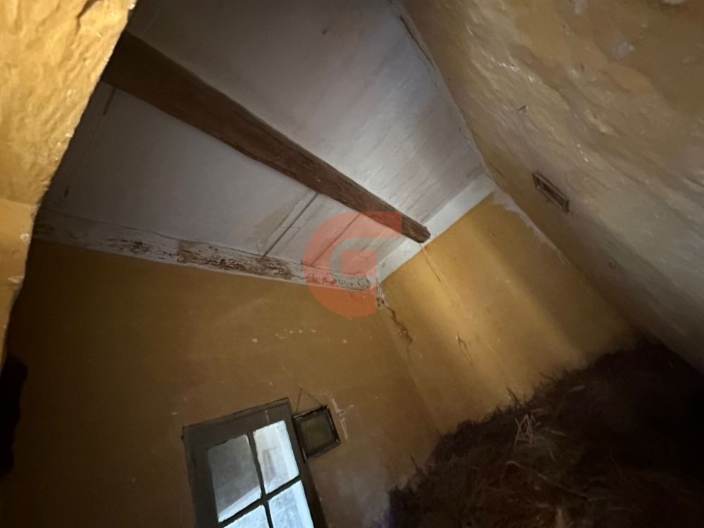 e5d52b11-831f-4c97-8397-0ad340e117db e5d52b11-831f-4c97-8397-0ad340e117db