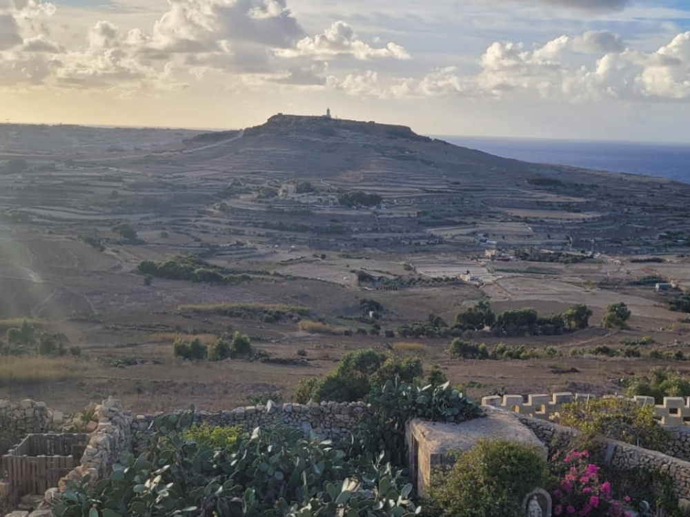 2920cf94-f681-43f2-8aee-11b6ee28c82a 2920cf94-f681-43f2-8aee-11b6ee28c82a