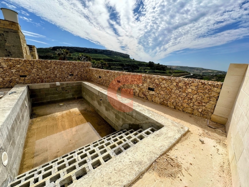 IMG_5904-EDIT IMG_5904-EDIT