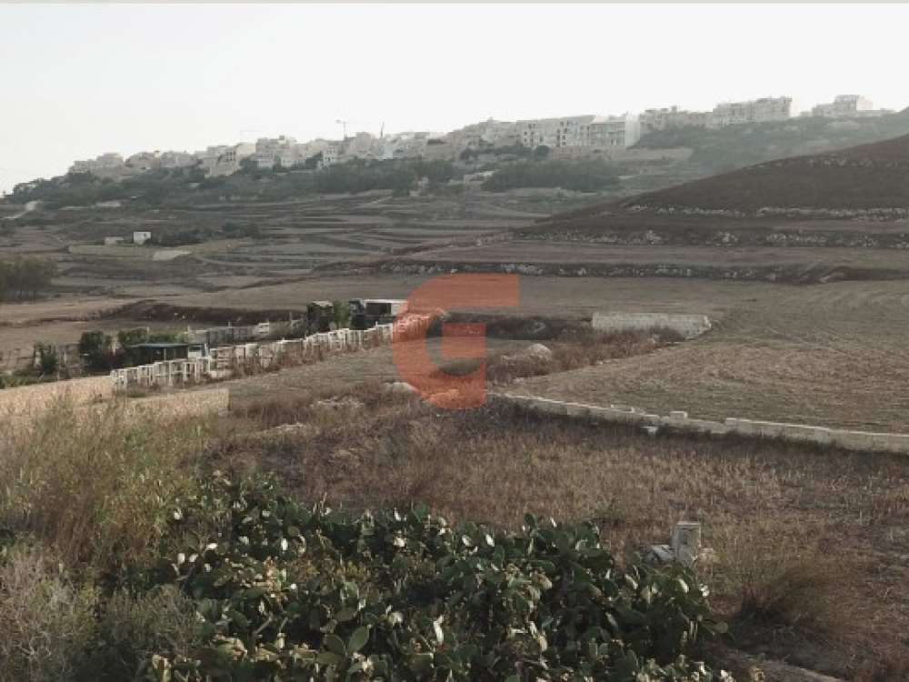 Screenshot 2025-03-31 162818 Screenshot 2025-03-31 162818