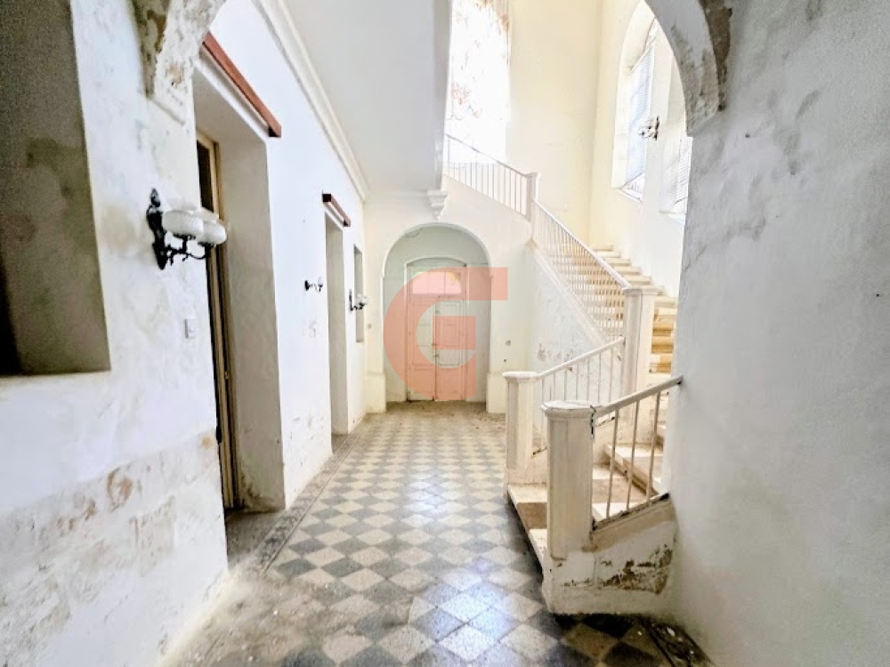 IMG_9441-EDIT IMG_9441-EDIT