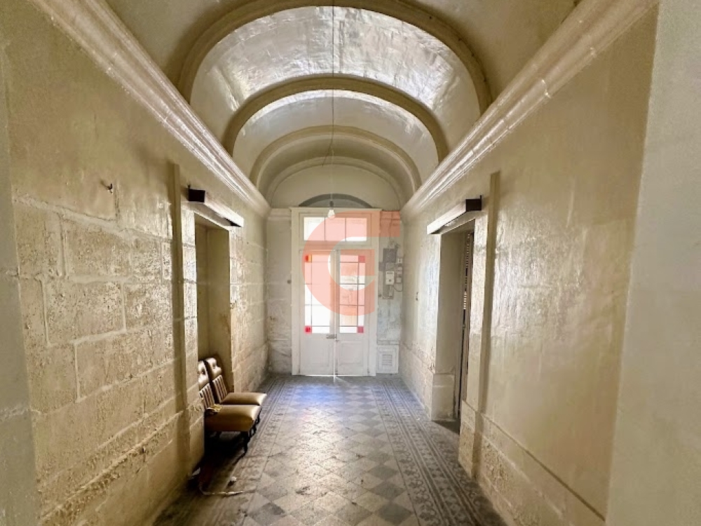 IMG_9450-EDIT IMG_9450-EDIT