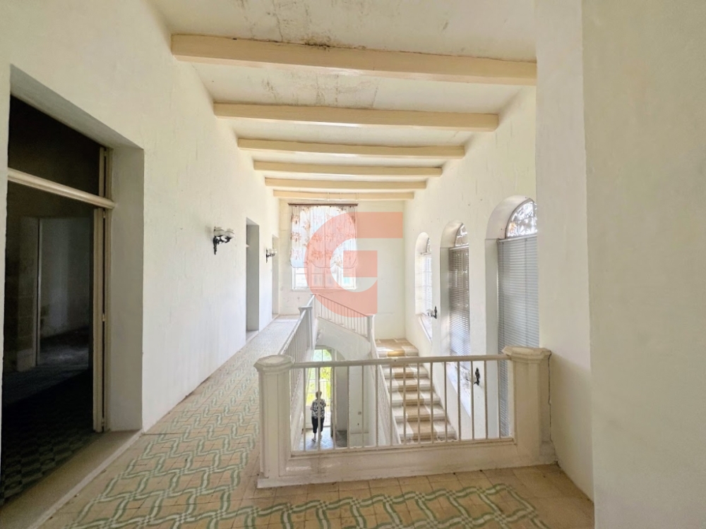 IMG_9457-EDIT IMG_9457-EDIT