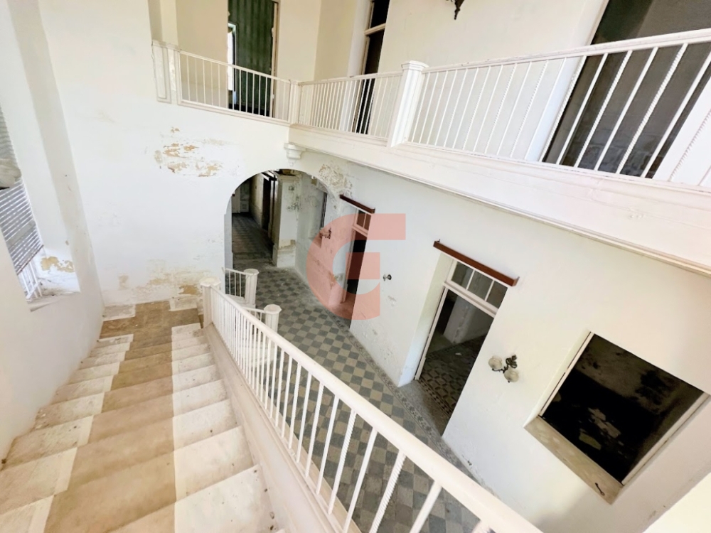 IMG_9464-EDIT IMG_9464-EDIT