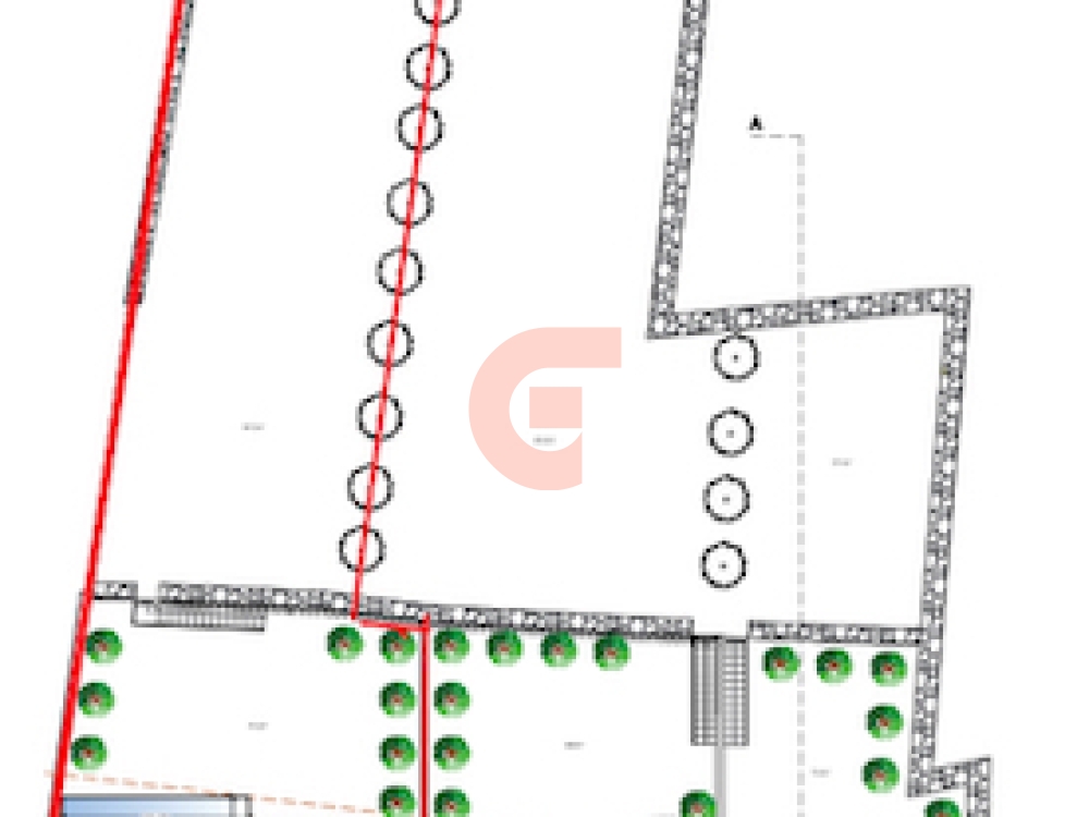 iScreen Shoter - 20250319111842021 iScreen Shoter - 20250319111842021