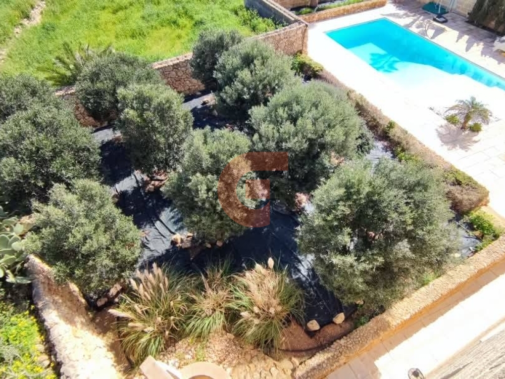 499822030_701241335615212_6387284082518983992_n 499822030_701241335615212_6387284082518983992_n