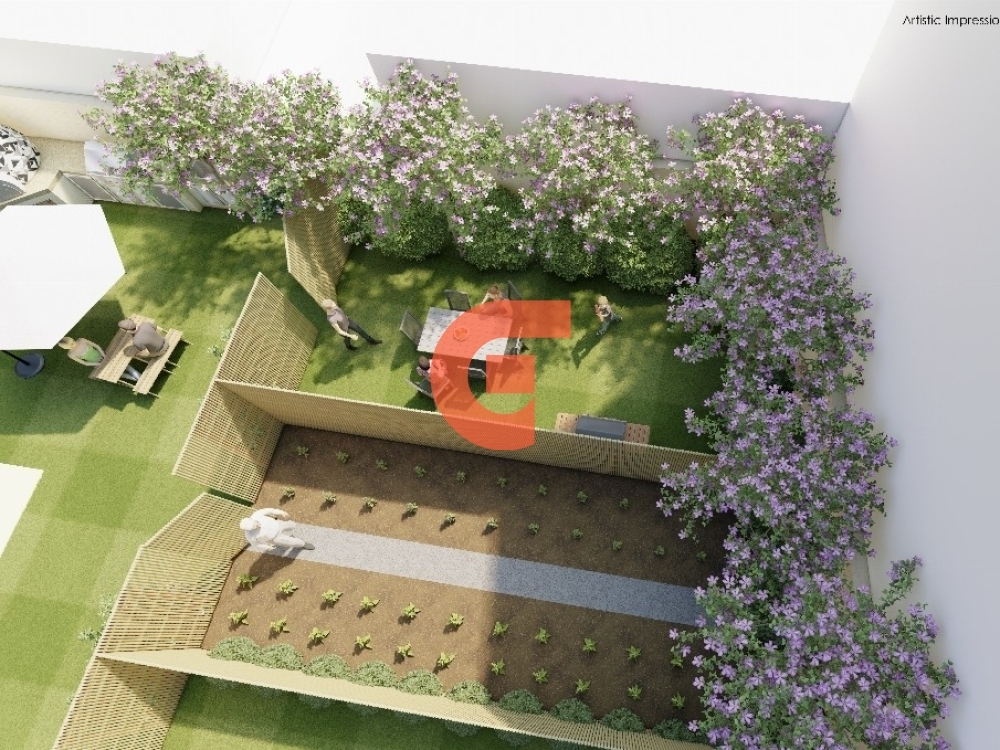 195_backyard (3)_1000x1000 (1)