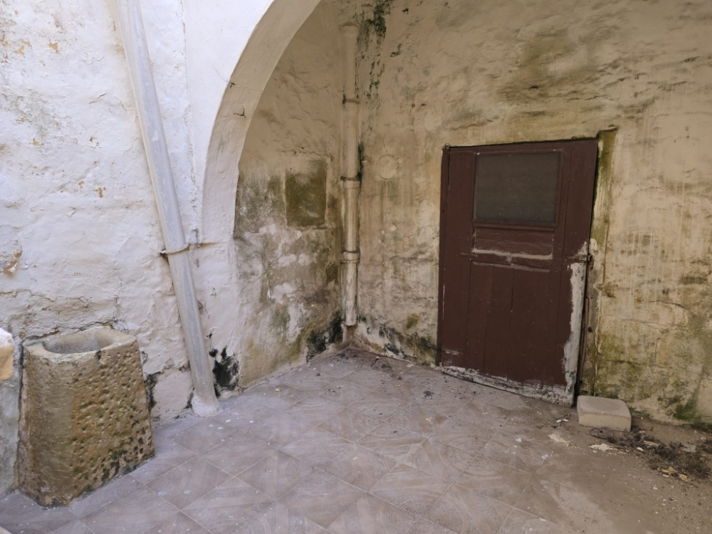 WhatsApp Image 2026-03-25 at 17.07.49llllll