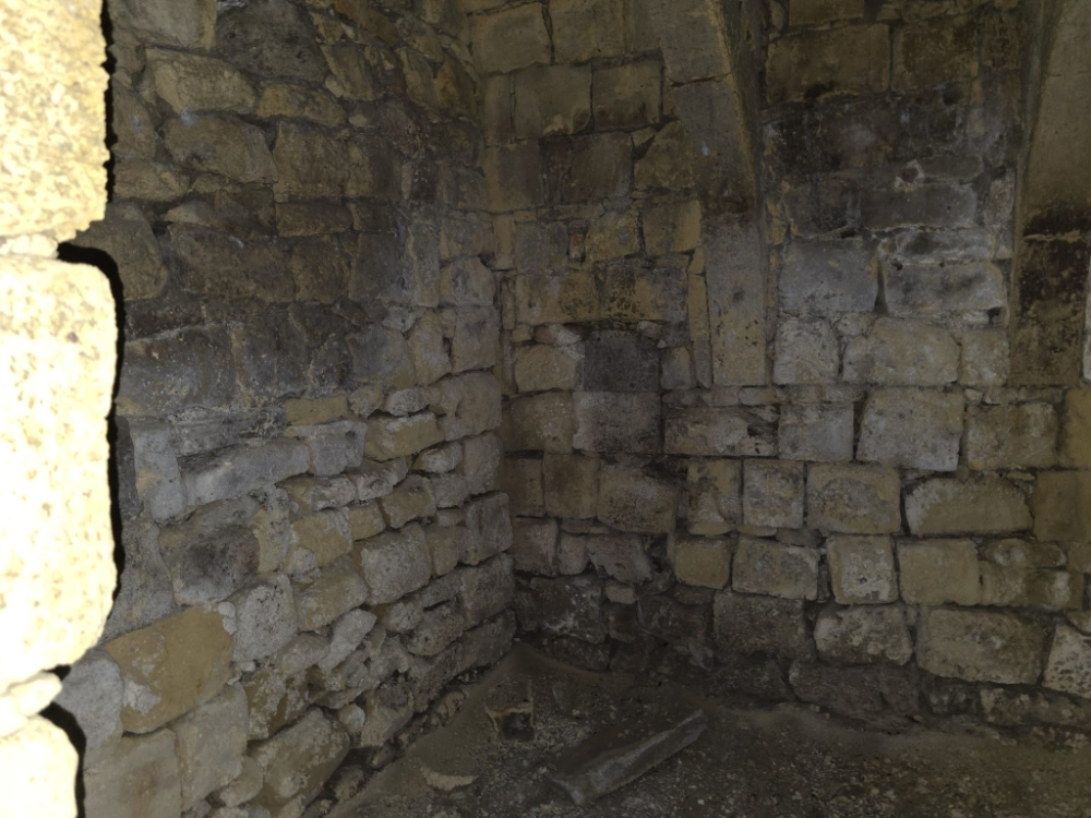 WhatsApp Image 2026-03-25 at 17.07.50llll