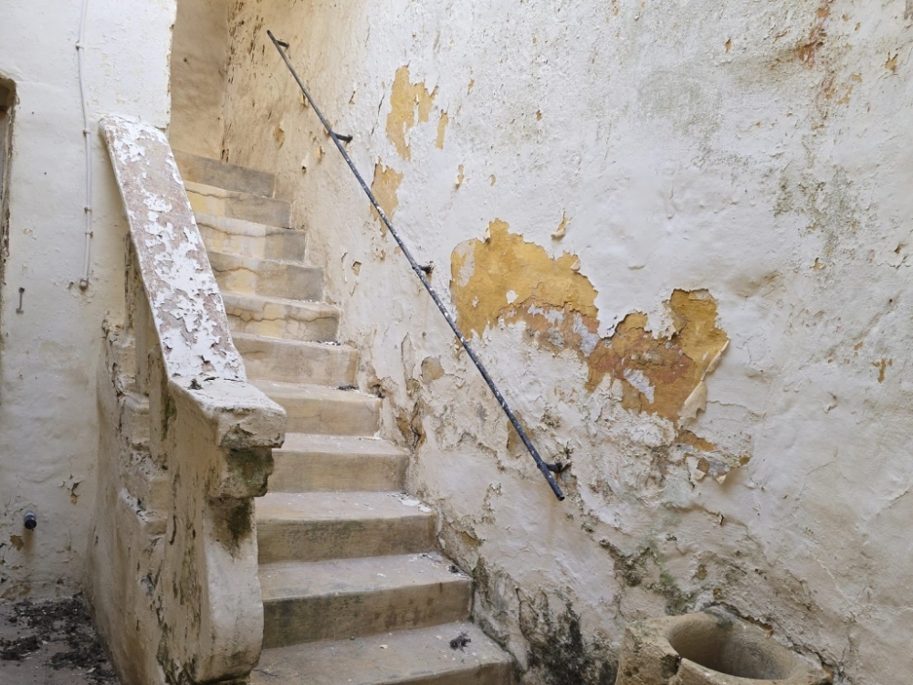 WhatsApp Image 2026-03-25 at 17.07.50nnnnnn